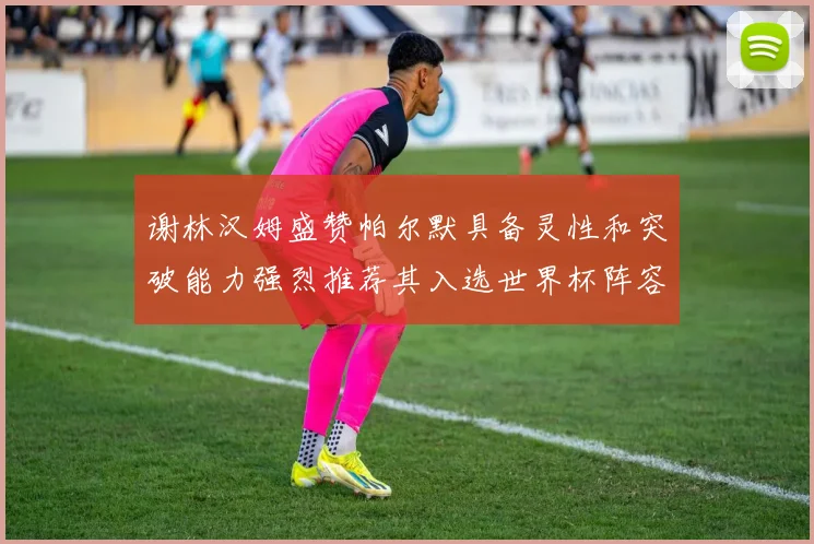谢林汉姆盛赞帕尔默具备灵性和突破能力强烈推荐其入选世界杯阵容